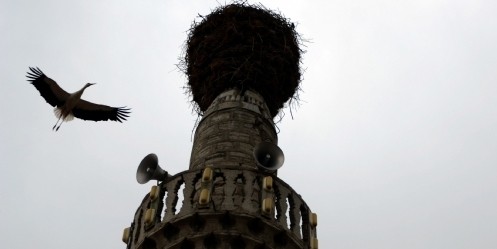 Minaredeki 55 yıllık leylek yuvası köyün simgesi oldu 