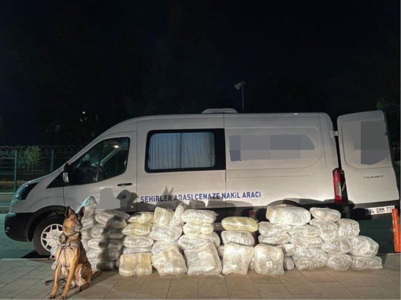 Cenaze nakil aracında 144 kilo 550 gram esrar ele geçirildi