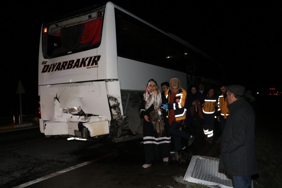 Yola çıkan at kazaya neden oldu: 15 yaralı
