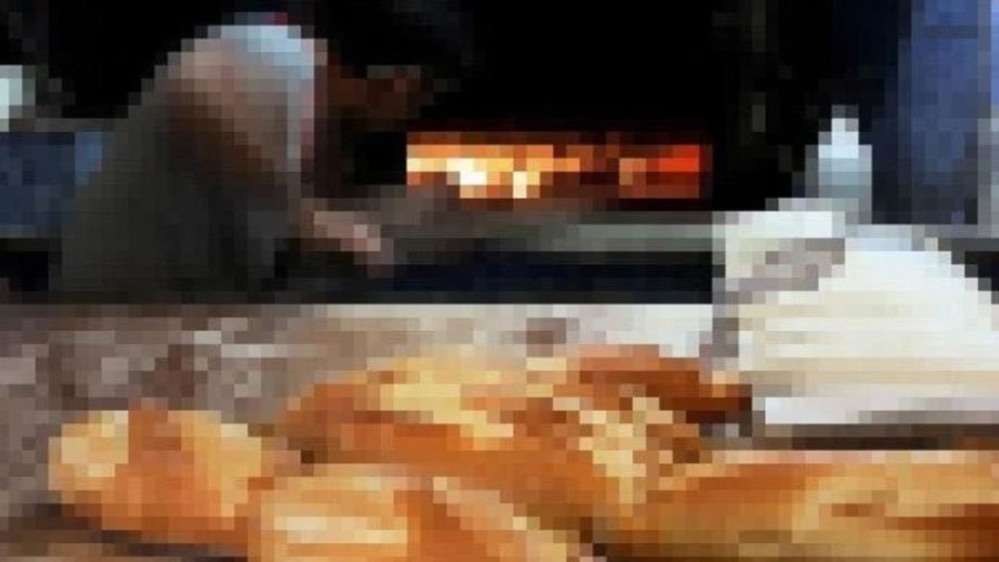 Sahipsiz kediyi fırında yakarak öldüren sanığın yargılanmasına başlandı