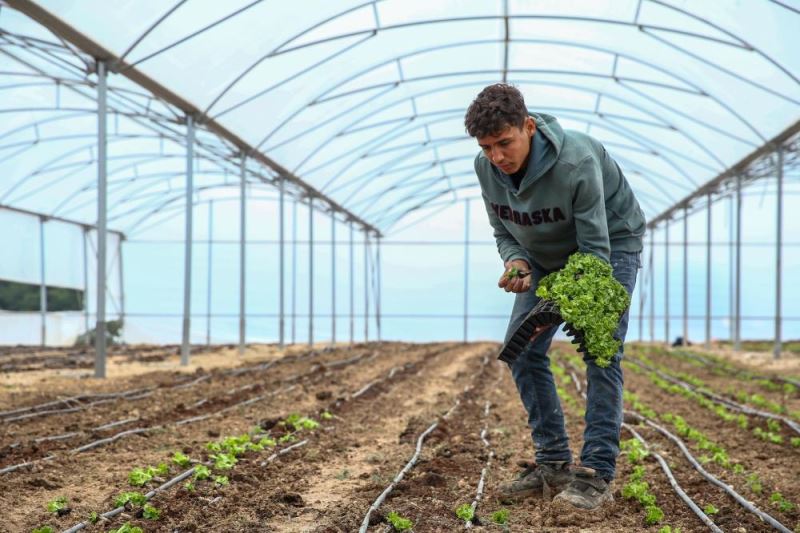 Kadın çiftçi ve tarım işçileri serada eğitilecek