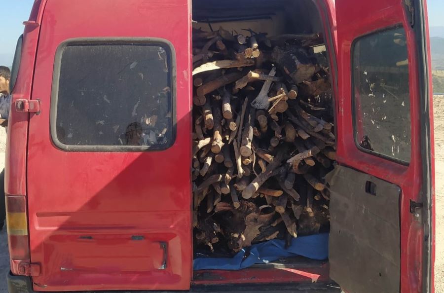 Ormanlık alanda izinsiz kesim yapan 12 kişiye para cezası 