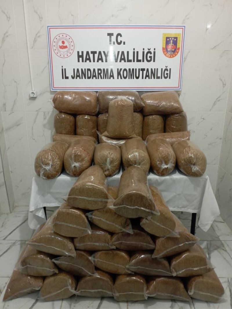 Hatay