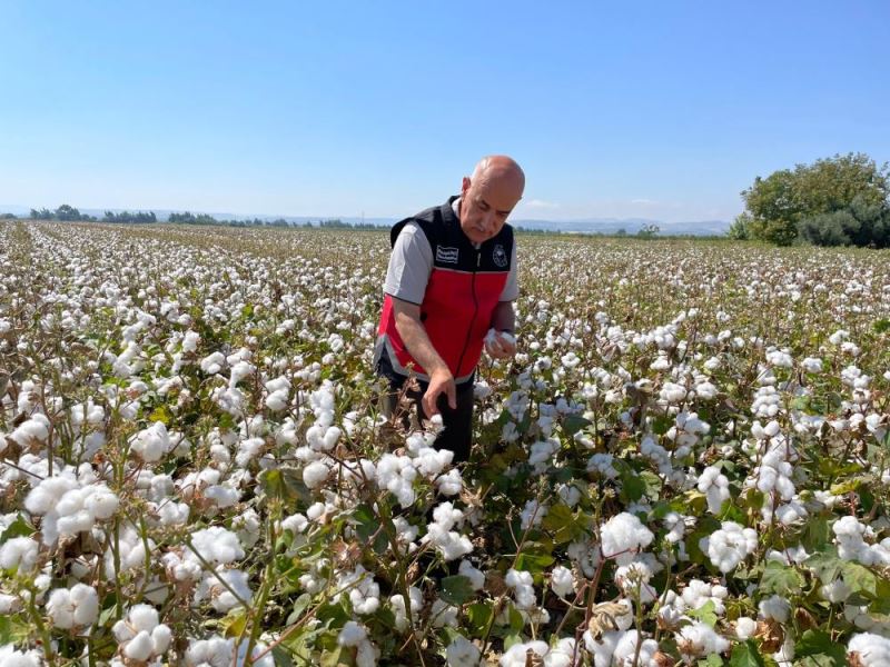 Tarım ve Orman Bakanı Vahit Kirişci, Hatay