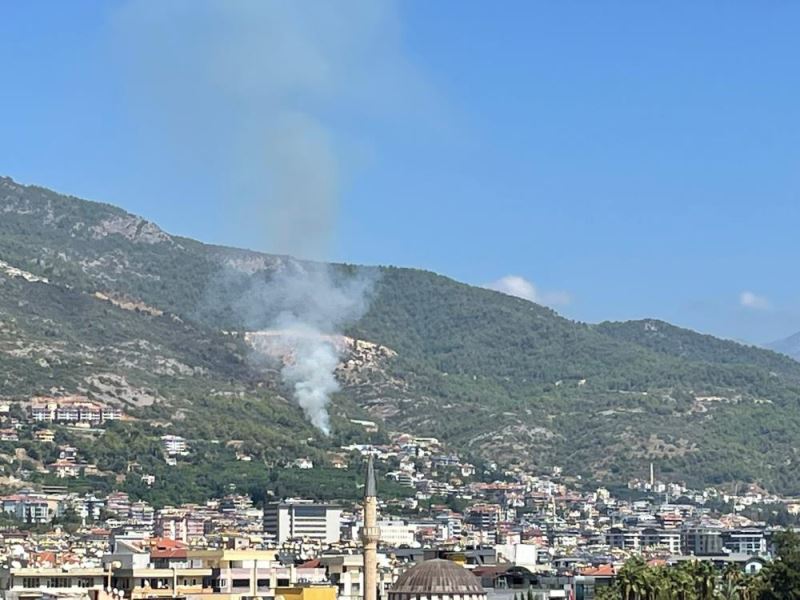 Alanya