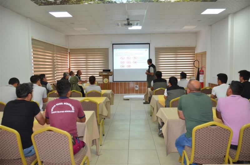 Mersin
