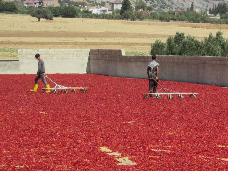 Avukatlığı bırakıp enerjisini GES