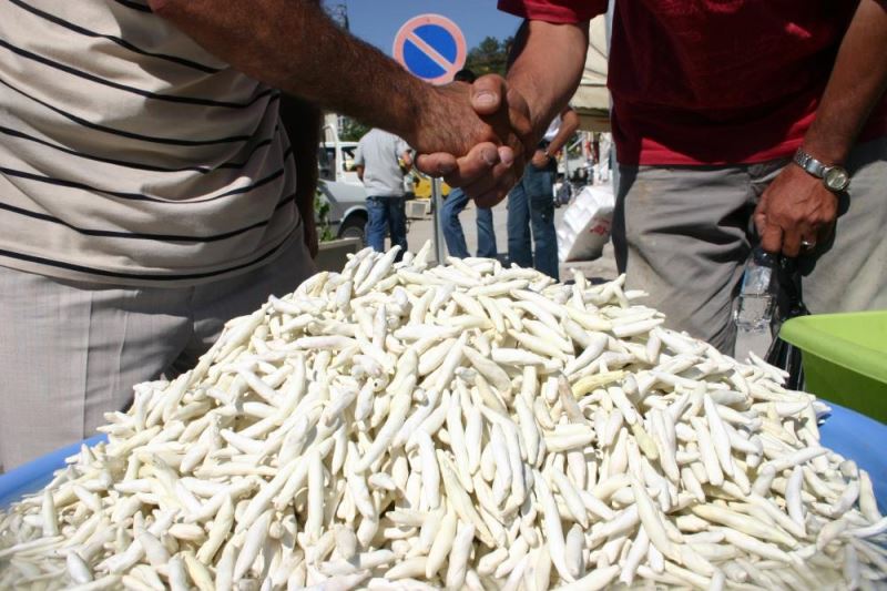 Malatya
