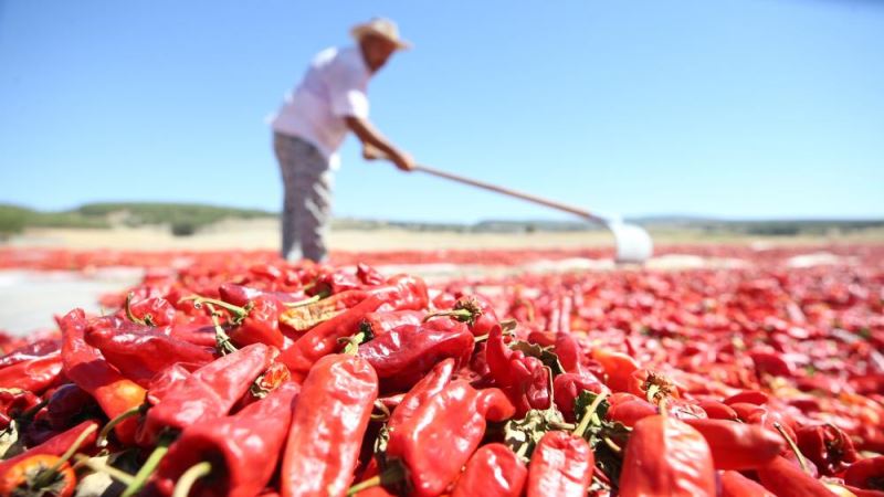 Coğrafi tescilli 