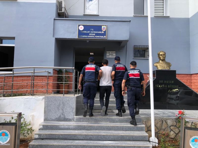 Mersin