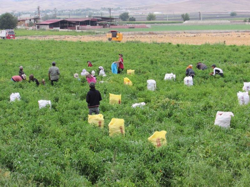 Nurdağı