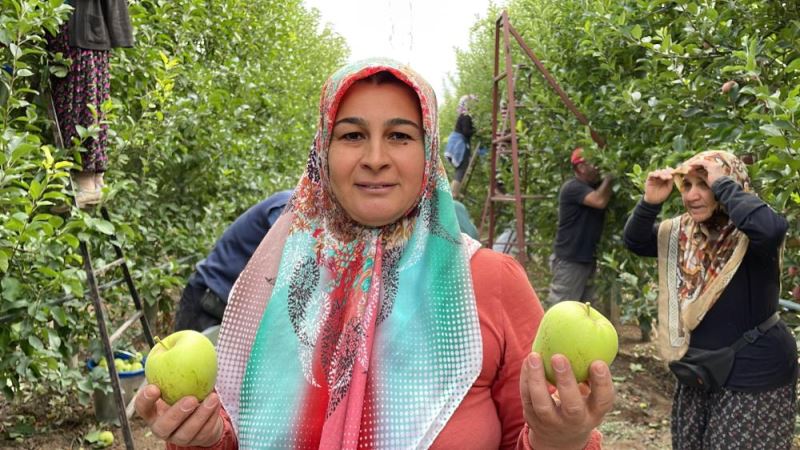 Isparta