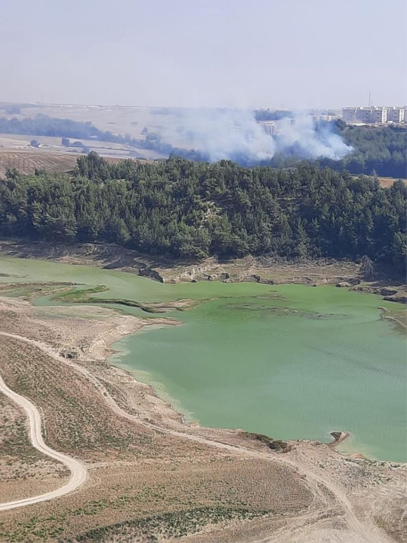 Adana
