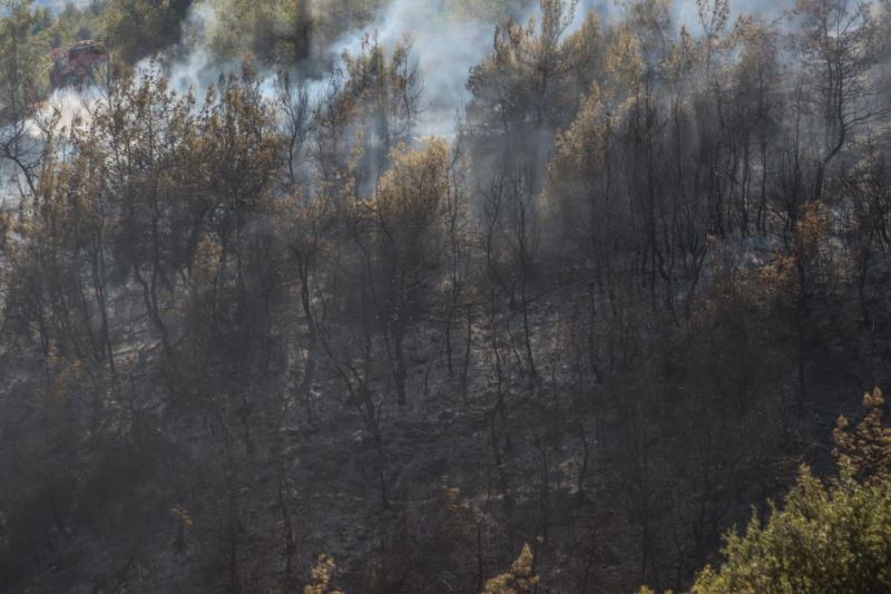 GÜNCELLEME - Mersin