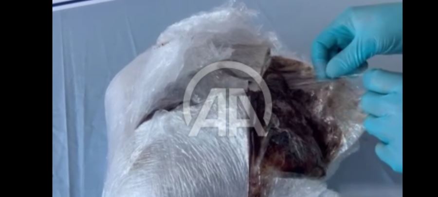 Valizde dışı kahveyle karıştırılarak silikonlanmış 2 kilo 500 gram esrar bulundu