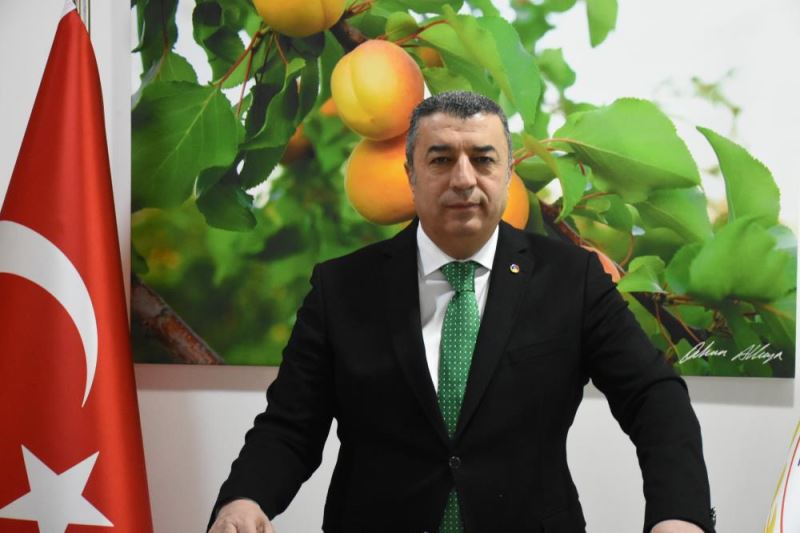 Kuru kayısı ihracatından 402 milyon dolar elde edildi
