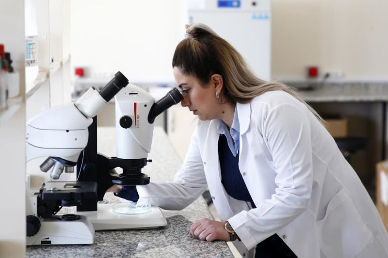 Kayseri Üniversitesi genetiği değiştirilmemiş tohumları çiftçilere dağıtıyor