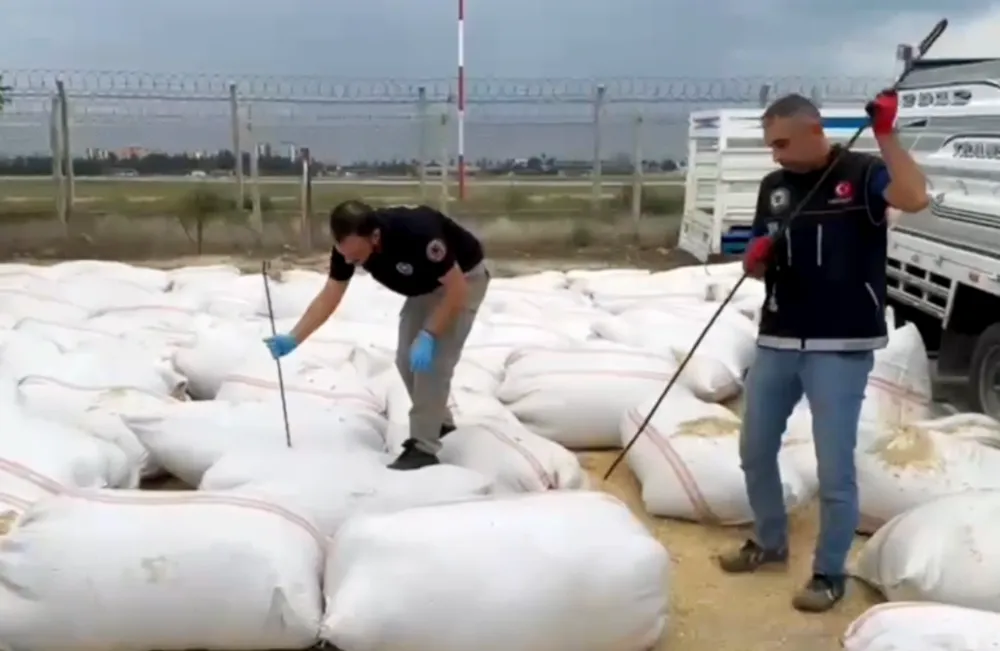 Kamyonetteki saman çuvallarından 66 kilo 684 gram esrar çıktı