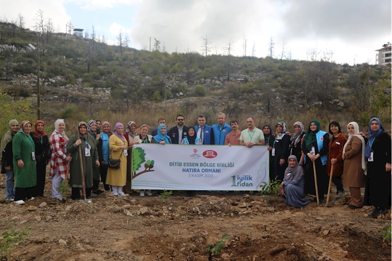 Türkiye Diyanet Vakfı, yıl sonuna kadar 800 bin fidanı toprakla buluşturacak