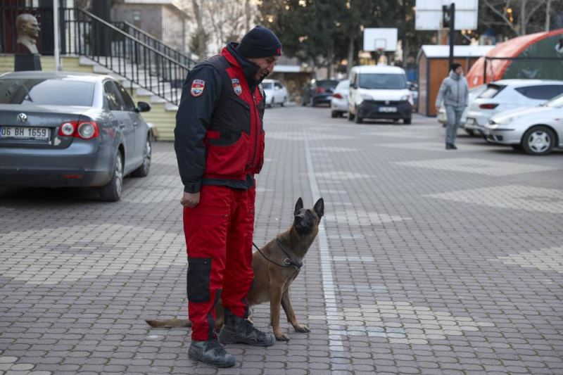 PAK bünyesindeki 4 arama kurtarma köpeği 74 kişinin kurtarılmasını sağladı