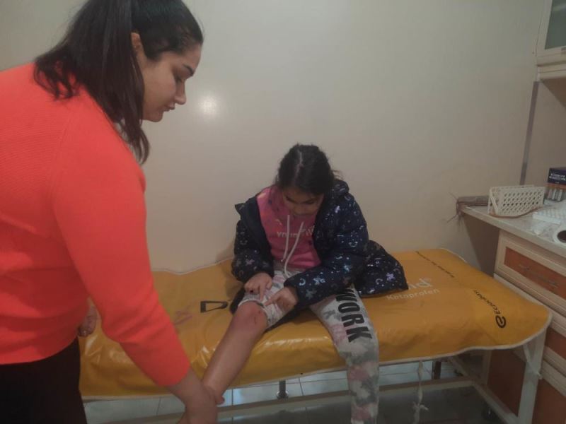 Sahipsiz köpeğin saldırdığı çocuk yaralandı