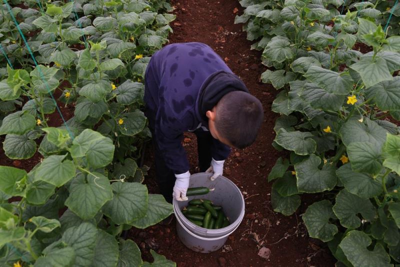 Kahramanmaraş