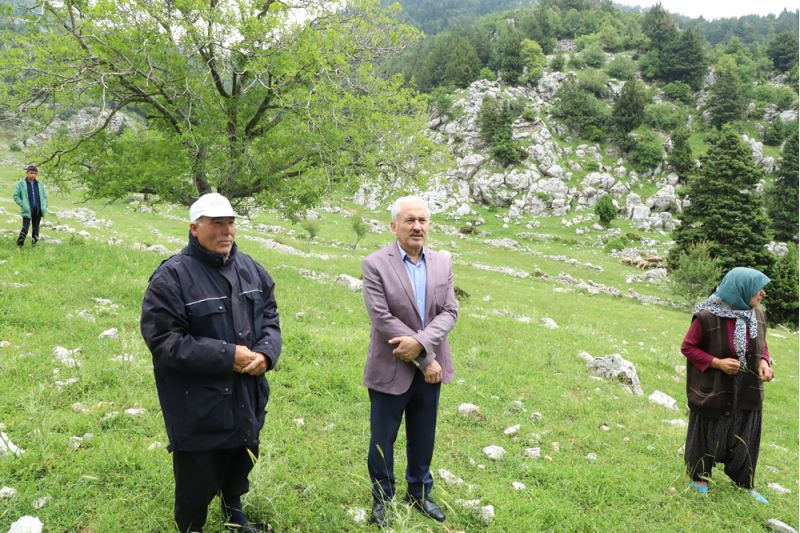 Yıldırımın isabet ettiği 13 keçi telef oldu