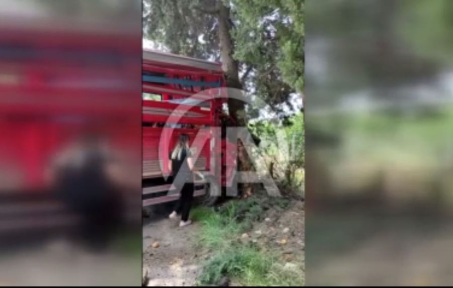Ağaca çarpan kamyonetteki 1 kişi öldü, 6 kişi yaralandı