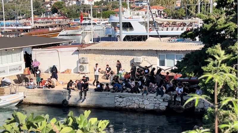 84 düzensiz göçmen yakalandı