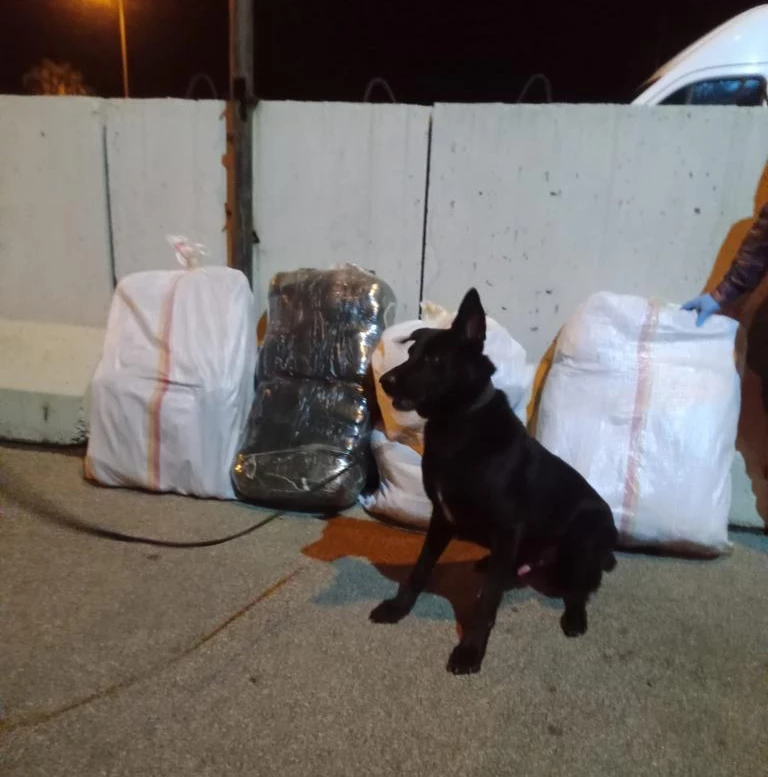 Adana’da panelvanda 58 kilo 574 gram esrar ele geçirildi