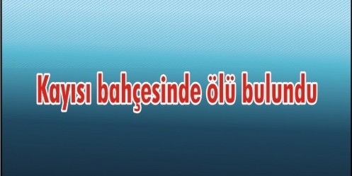 Kayısı bahçesinde ölü bulundu