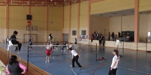 Anadolu Yıldızlar Badminton Ligi