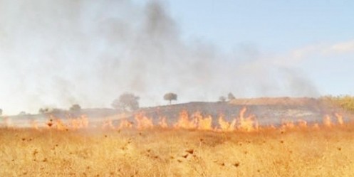 Anız Yakılmasını Önleme Denetimleri Devam Ediyor