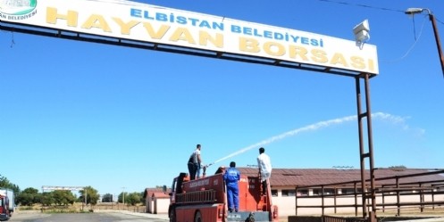 Hayvan Borsası 7 Ekim