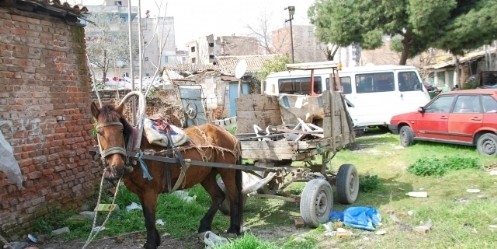 Polisin Şüphesi Boş Çıkmadı