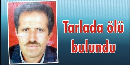 Tarlada ölü bulundu