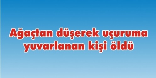 Ağaçtan düşerek uçuruma yuvarlanan kişi öldü