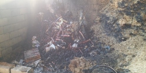 Samanlık yangını korkuttu 