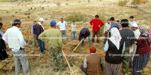 Afşin`de ağaçlandırma çalışmaları 