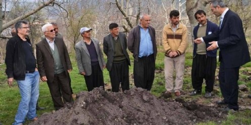 Olgunlaşmamış Kömür, Organik Gübre Olarak Kullanılacak 