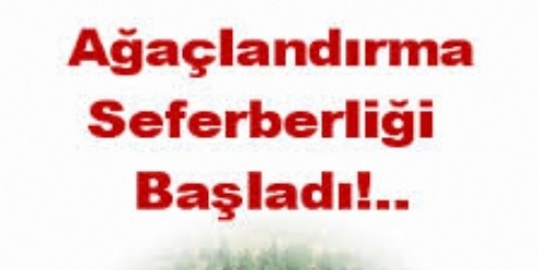 Ağaçlandırma Çalışmaları