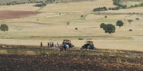 Tarla Yangını