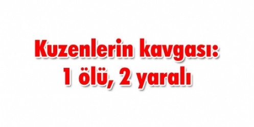 Kuzenlerin kavgası: 1 ölü, 2 yaralı 