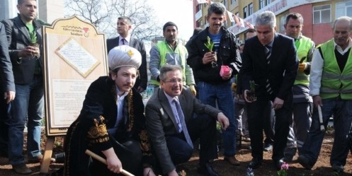 Saray sümbülleri toprakla buluştu 