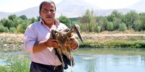 Bataklığa saplanan leylek yavrusunu itfaiye kurtardı 