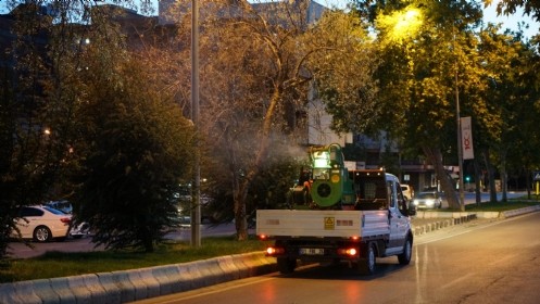 Uçkun Mücadelesi Devam Ediyor