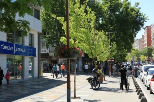 Kaldırımlar Çiçek Açtı