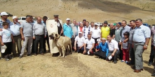 Afşin`de yayla şenliği 