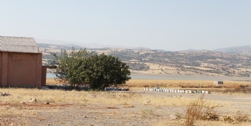 Yüksek okulu arıcılık bölümüyle eğitime açıldı(!)