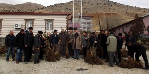 Nurhak`ta çifçilere fidan dağıtımı
